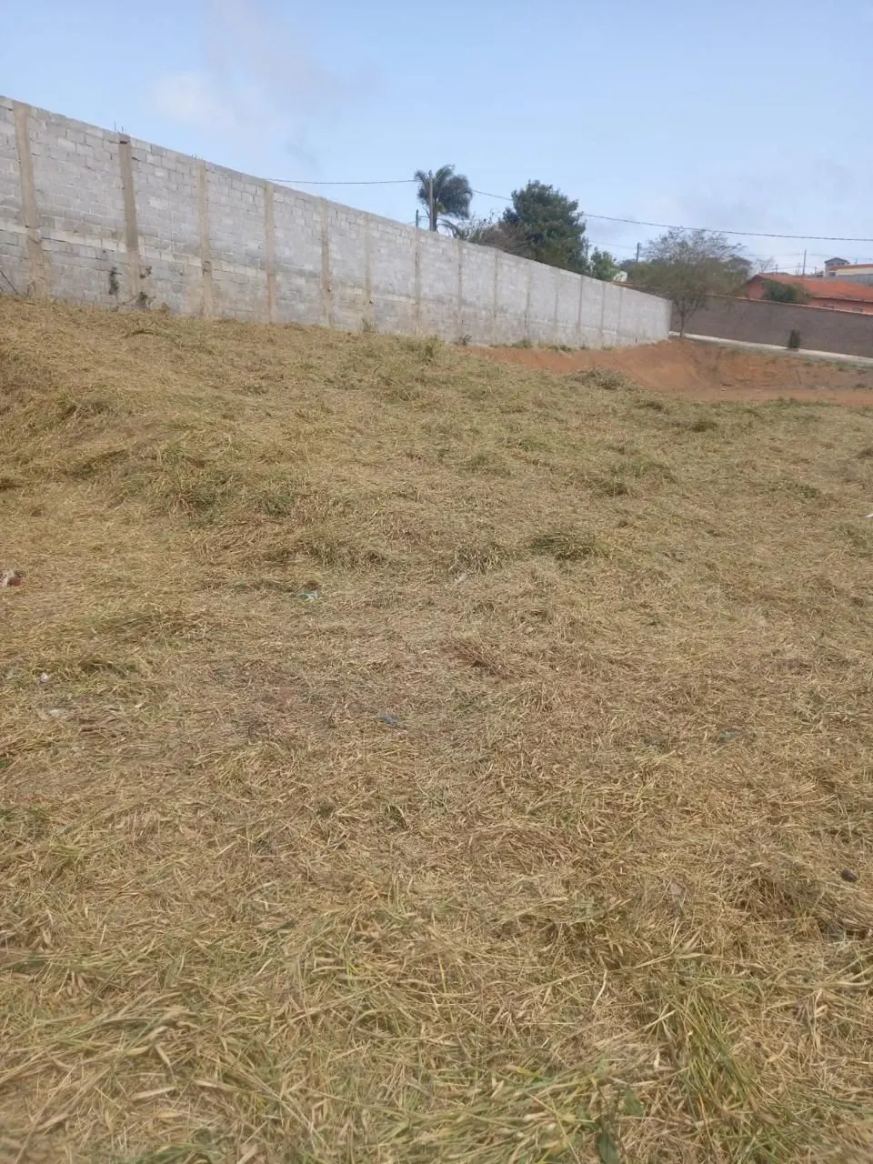 Terreno gramado com muro ao fundo